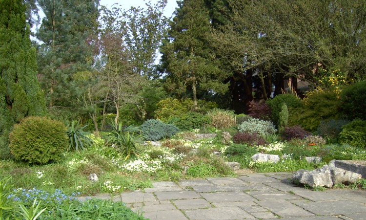 garden